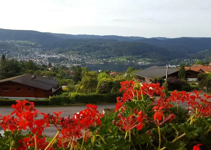 Bed & Breakfast Les Hauts Du